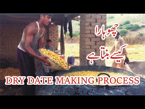 Video: How To Dry Dates