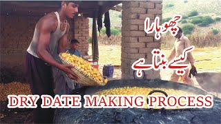 Dry Dates (Chuhra) Making/How it is made چھوہارا کیسے بنتا ہے