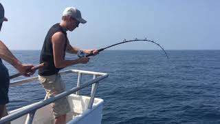Monster Wahoo Fish in the Gulf of Mexico!!