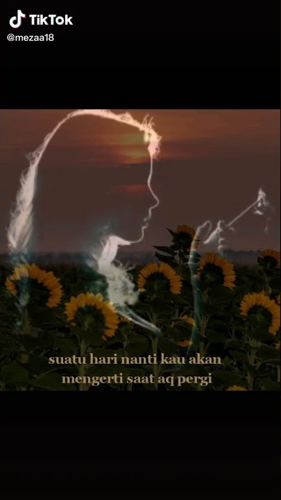 Lagu suatu hari nanti