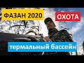 Охота на фазана в Украине | заросли кукурузы, глина, термальные источники Закарпатья