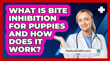 What Is Bite Inhibition For Puppies And How Does It Work? - PetGuide360.com