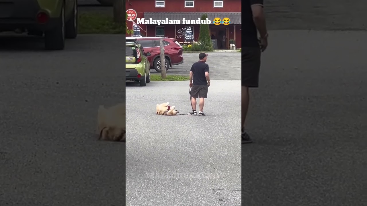 Animal Fundub Part 23 🤣 🤣 | Malayalam FunDub | Malludubkeng #malayalamfundub #shorts