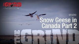 Season Finale! Snow Geese In Canada Part 2 | The Grind S11:E10
