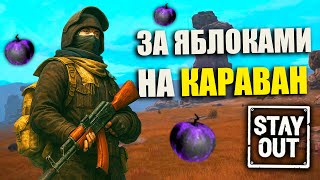видео: ⭐️СТАЛКЕР ОНЛАЙН | СБОР ЯБЛОК НА КАРАВАНЕ🔵 #stalkeronline картинка: ⭐️СТАЛКЕР ОНЛАЙН | СБОР ЯБЛОК НА КАРАВАНЕ🔵 #stalkeronline