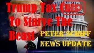 Peter Schiff 2017 Peter Schiff: Trump Tax Cuts To Starve The Beast