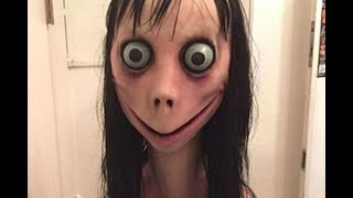 Download Lagu A Decent Freebee - Momo Mother Bird: Final Story MP3 Download Lagu A Decent Freebee - Momo Mother Bird: Final Story MP3
