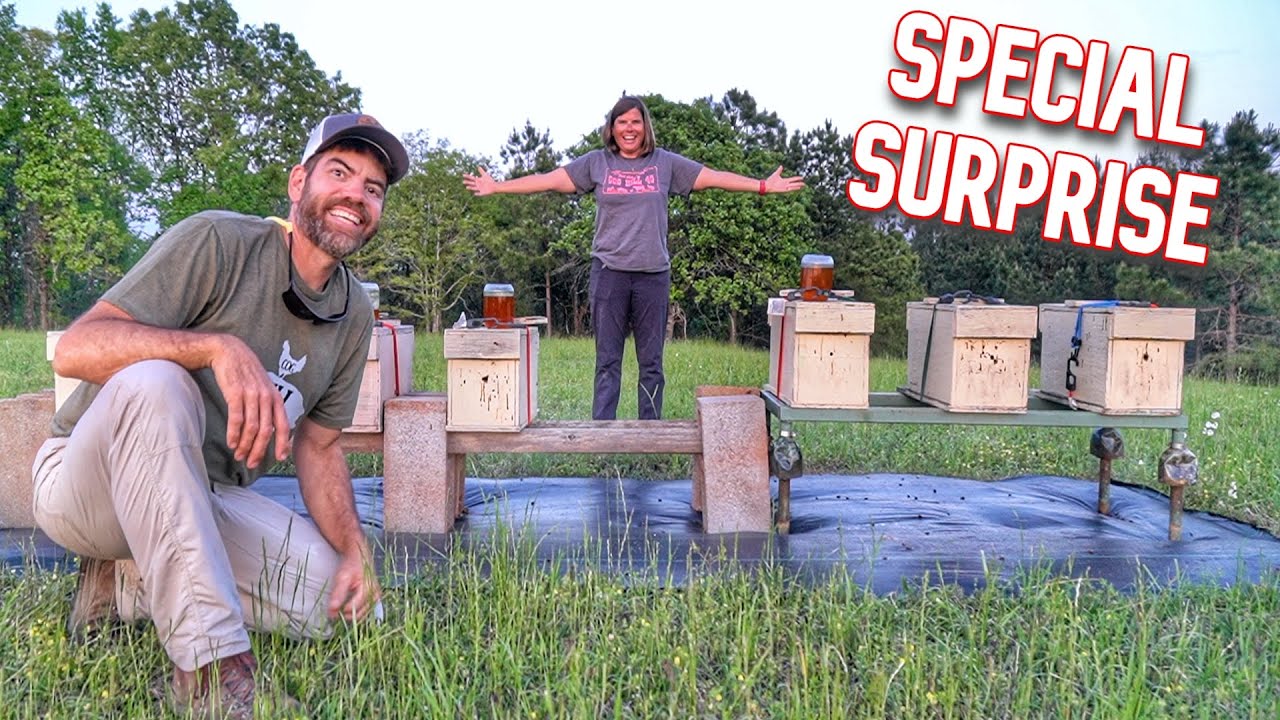 Very Special Day On The Farm, Because We Just Got Honey Bees!!! - YouTube
