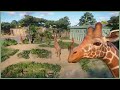 🦒Simple giraffe habitat | Soliuko Zoo | Planet Zoo | speedbuild🍁