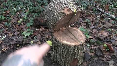 log deadfall trap