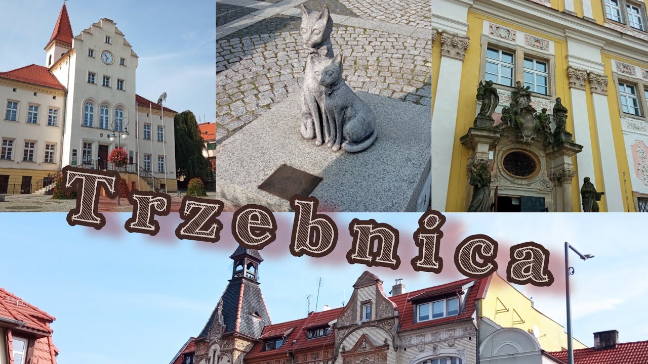 Trzebnica:  jeszcze jedna perełka Dolnego Śląskа🏫🐈
