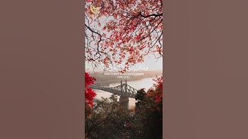 لَقَدْ كَفَرَ ٱلَّذِينَ قَالُوا۟ إِنَّ ٱللَّهَ ثَالِثُ ثَلَـٰثَةٍۢ أحمد النفيس | سورة المائدة