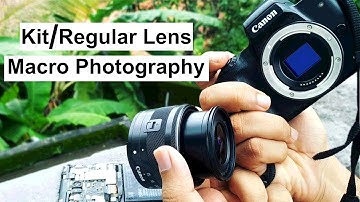 9 Tips to master Macro Photography using regular lens (Reverse Mount).