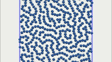 Self-Assembly of Coarse Grain 2D Star polymer: stripe fluid phase at P=7.