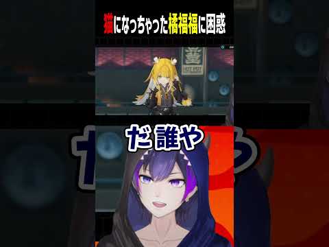 【ゼンゼロ】猫になっちゃった橘福福に困惑【神咲カゲロウ/Kanzaki_Kagerou】#vtuber #ゼンゼロ  #shorts