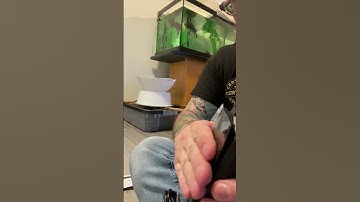 How To Install A Radiant Heat Panel In A PVC Enclosure In 1 Minute | 10 Steps #Shorts