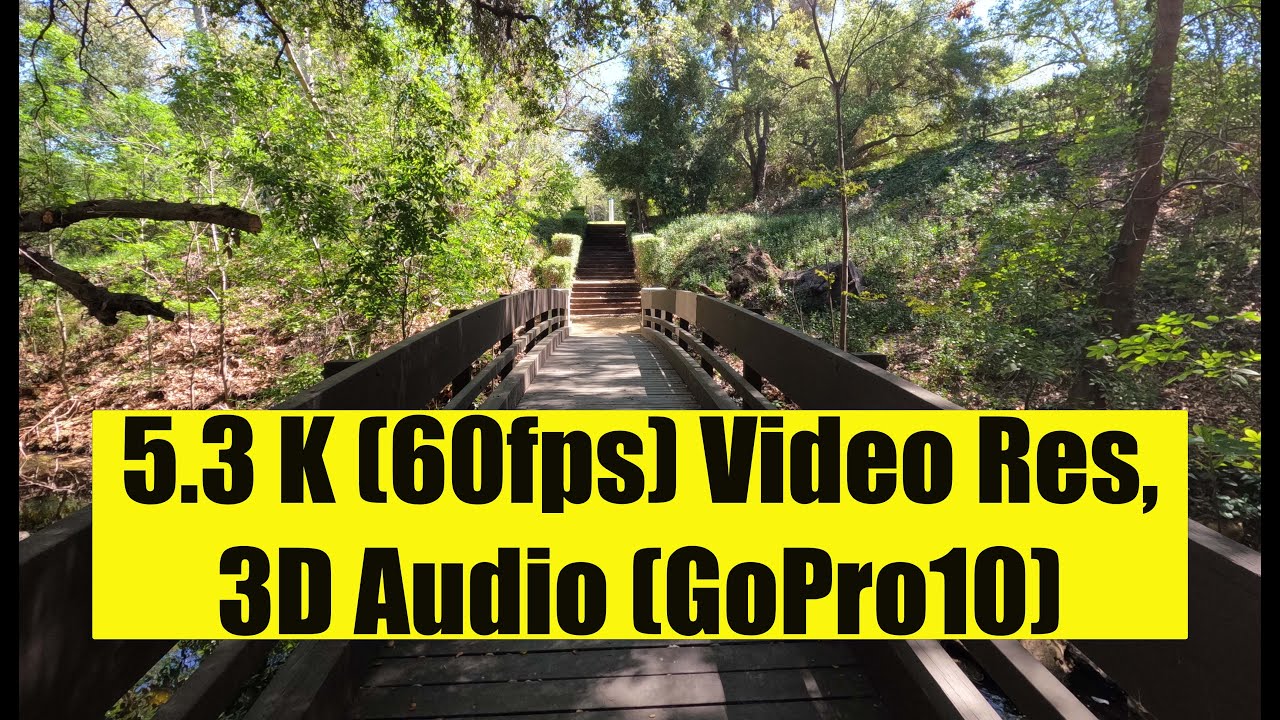 5.3 K (60fps) Video Res,3D Audio (GoPro10) / Cinematic
