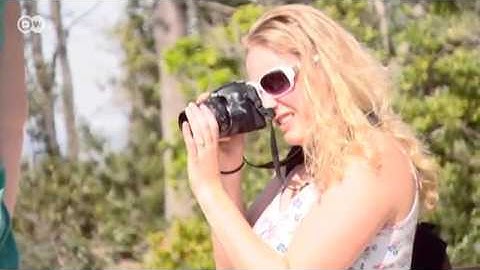 On the Bridge of Avignon | Euromaxx - city