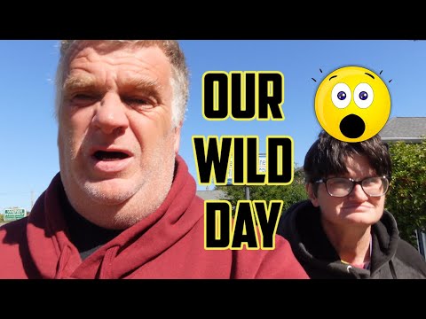 Our Wild Day #3046