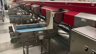 Aweta GMC 4-16+1 pepper sorting machine