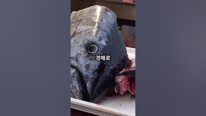 (일본)토요스 시장의 숨겨진 보물 발견하기