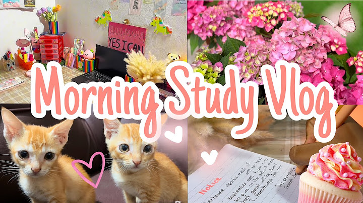 Morning Study Vlog🥞❤️| අද උදේ වරුවේ මම වැඩ කළේ මෙහෙමයි 📚✏️| Breakfast එකට Cheese Sandwich 🍱