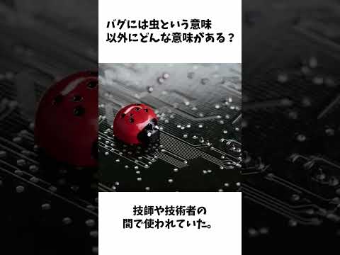 バグの意味・由来・語源には、実は本当の虫が関係している。
