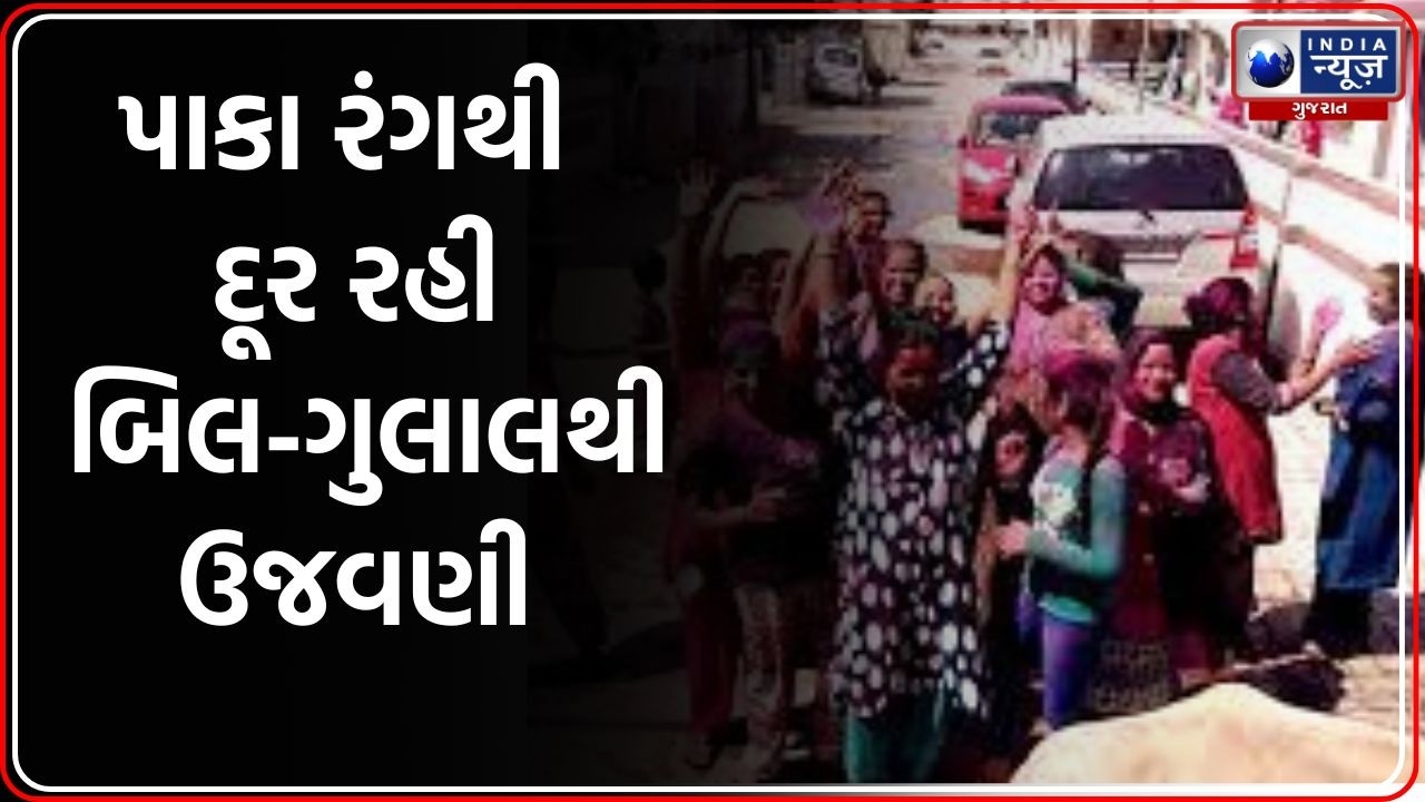 Palanpur holi celebration | પાલનપુરમાં ધુળેટી ધામધૂમથી ઉજવાઈ