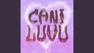 Can I Love You (Can I Love You)