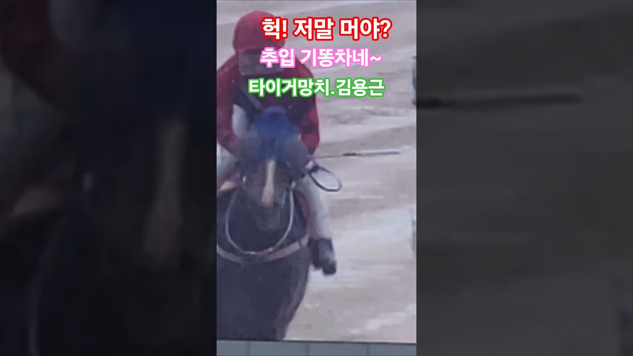 거의 날라온다 봐야지! 암 #경마 #말 #달려라말 #shorts