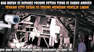 Download Lagu CAMPING HOROR: Terekam CCTV Ketika di datangi Pocong Dan anak kecil sa,at Tidur lelap di gubuk Angke MP3
