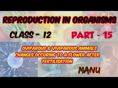 REPRODUCTION IN ORGANISMS | CLASS 12 IN MALAYALAM | [PART-15] -  OVIPAROUS & VIVIPAROUS ANIMALS