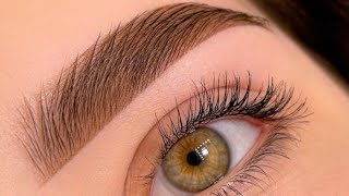 eyebrow tint/brow henna tutorial/brow henna step by step#phibrows #hennabrows