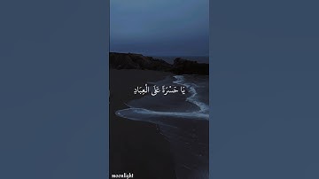 يا حسرة على العباد | شريف مصطفى تلاوة مؤثرة #قرآن #تلاوة_خاشعة #شريف_مصطفى