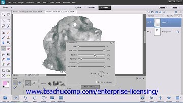 Adobe Photoshop Elements 12 Tutorial Brush Settings Employee Group Training  7.4