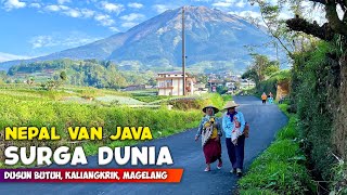 HEAVEN ON EARTH !! NATURAL VIEW OF NEPAL'S VAN JAVA VILLAGE ON MOUNT SUMBING  INDONESIA