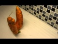 This is supposedly  a carrot