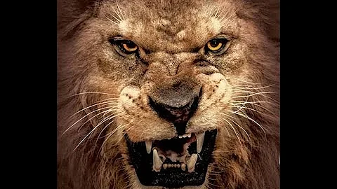 Snares of Babylon- Elder Hassan Byrd