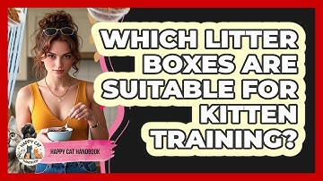 Which Litter Boxes Are Suitable For Kitten Training? - Happy Cat Handbook