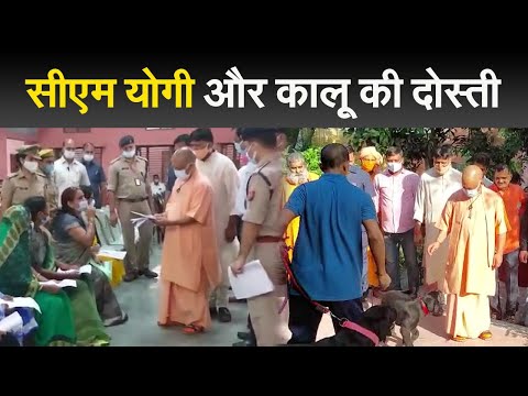 UP News: CM Yogi Adityanath ने अपने पालतू Dog Kalu के साथ की मस्ती | Prabhat Khabar