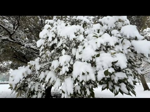 It's raining snow around 🌨️❄️ #snow