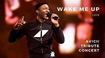 WAKE ME UP LIVE feat. Aloe Blacc - Avicii Tribute Concert: In Loving Memory of Tim Bergling 2019