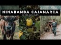 NINABAMBA CAJAMARCA 2021🧑‍🌾 | LA VIDA EN EL CAMPO EN PERÚ🐮🌄 #Ninabamba #Reportaje #Cajamarca