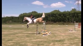 Bridleless & Bareback Show Jumping- Alycia Burton & Goldrush Net Worth
