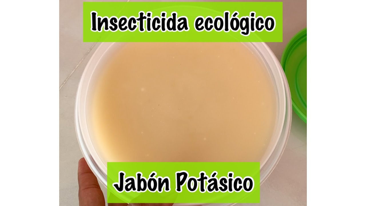 JABÓN POTÁSICO - NUESTRO MEJOR ALIADO CONTRA PLAGAS EN LA AGRICULTURA ECOLÓGICA.