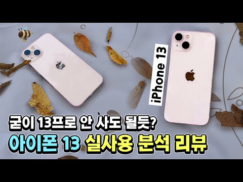 13프로 안 사도 될 듯 아이폰 13 실사용 분석 리뷰 