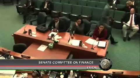 Senate Finance - Vikrant Reddy, TPPF - February 7, 2013