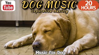 20 HOURS of Dog Calming Music🐶💖 Puppy Sleep Piano🦮🎵Anti Separation Anxiety Relief Music⭐Healingmate by HealingMate - Dog Music 17,084 views 6 days ago 20 hours