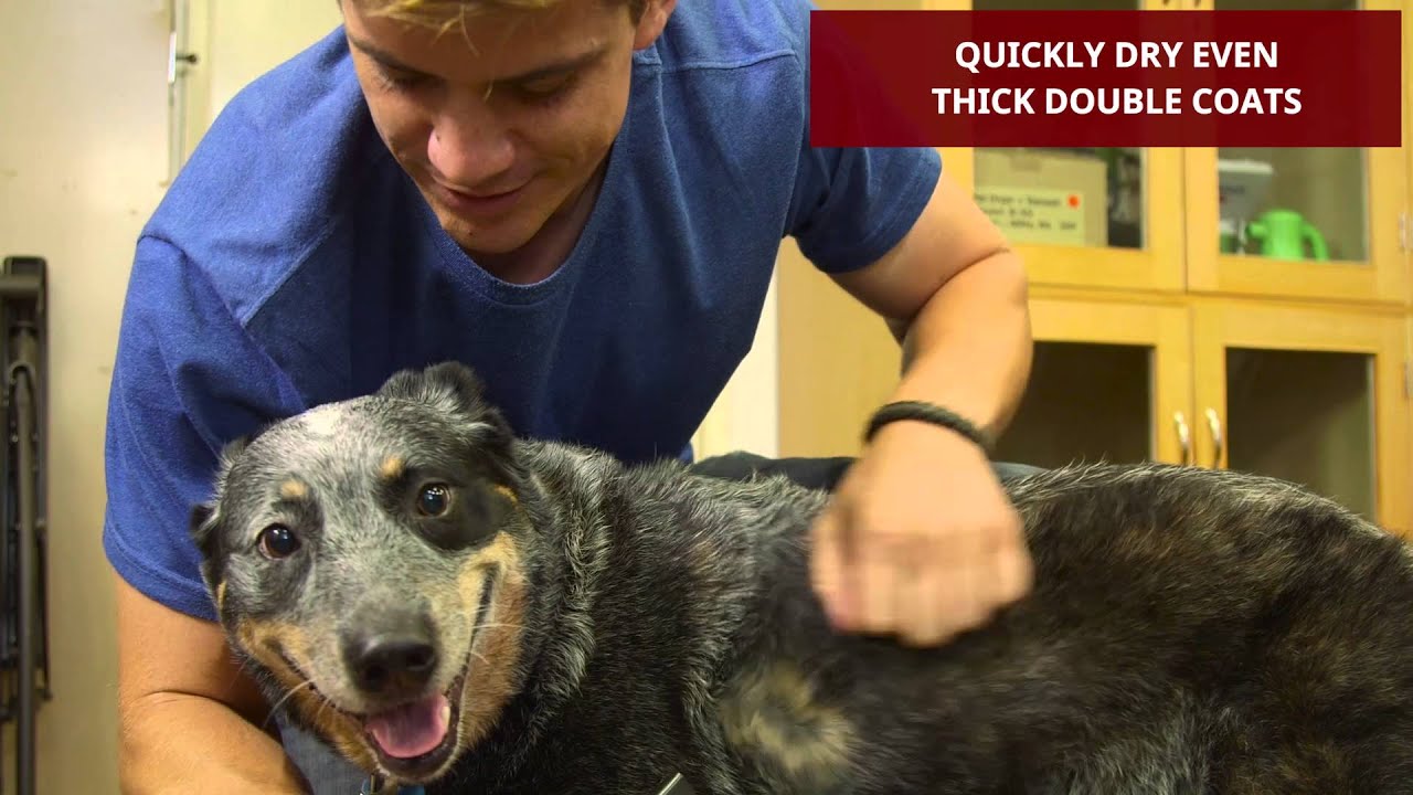 XPower Product B2 // Production By Lemonlight Media