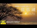 【癒し】琵琶湖の四季折々の風景と癒しサウンド／4K風景映像・実写／疲れた心身の回復とリラックス効果、目覚めの朝や眠れない夜にもどうぞ。琵琶湖の朝陽と夕陽、季節が移り変わる風景をお楽しみください。